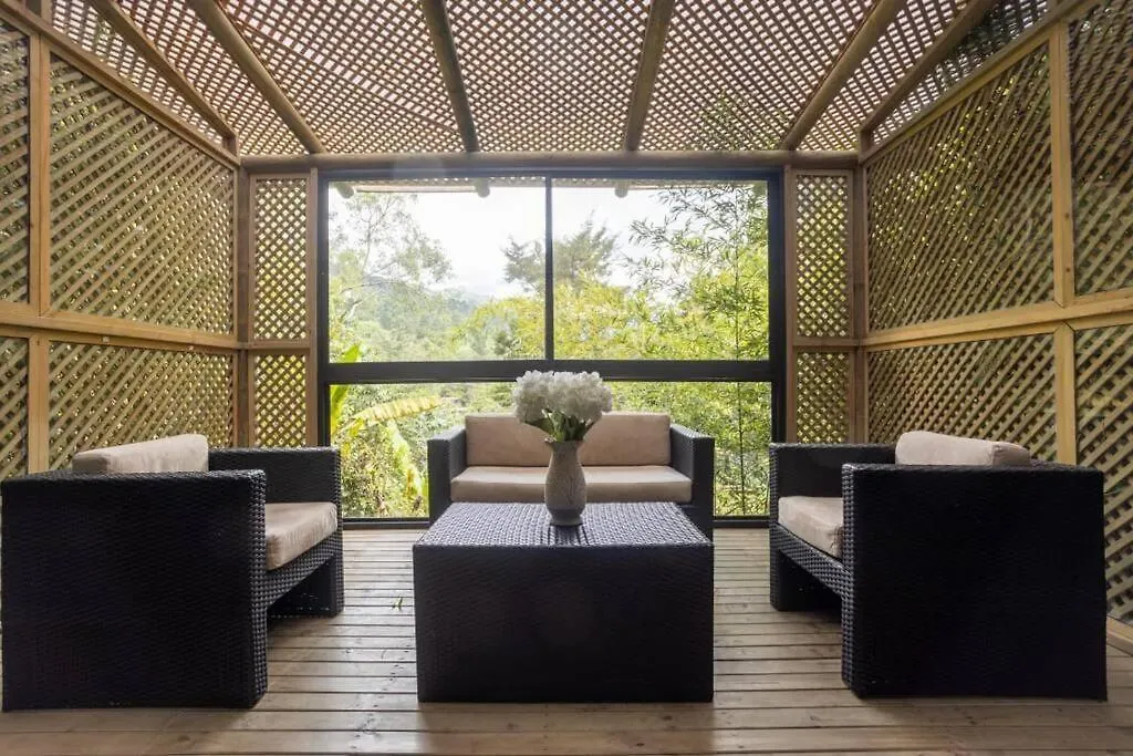 Casa Privada En El Poblado Despedidas De Soltero Fiesta Picsina Jacuzzi Medellin Villa